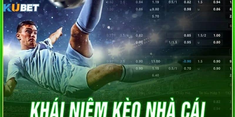 Hướng dẫn cách tham gia cá cược trên Bet69 kèo nhà cái