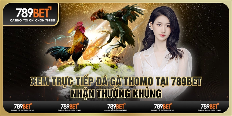 Trực tiếp đá gà Thomo