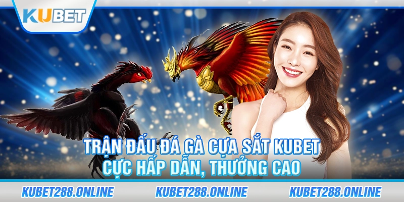 đá gà cựa sắt